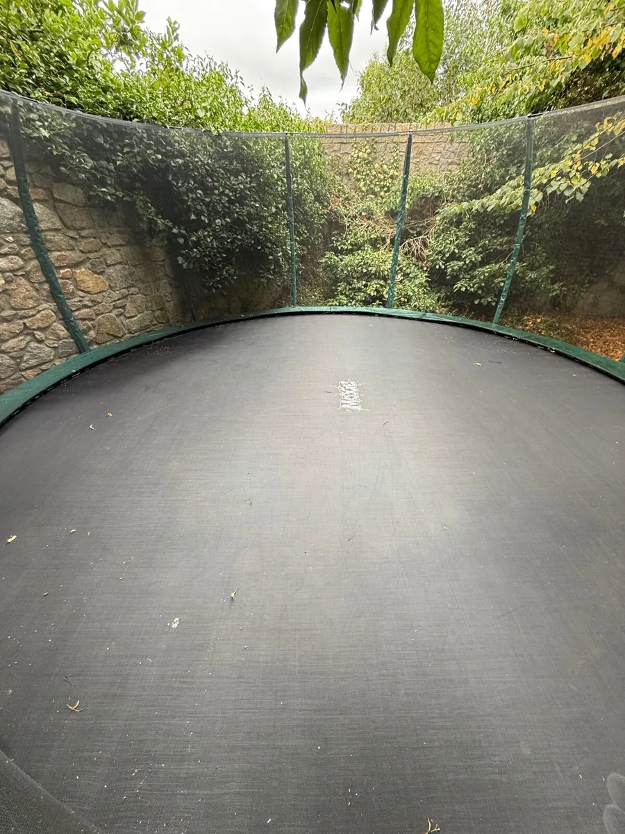 Trampoline - Image 3