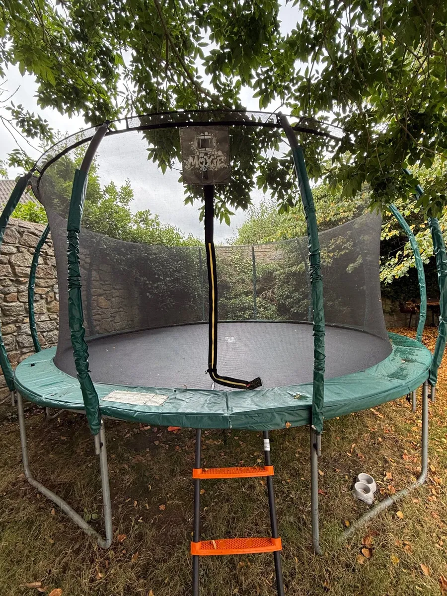 Trampoline - Image 4