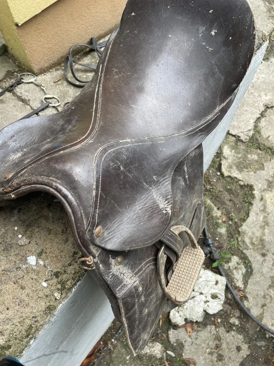 Saddle and bridle plus few extras - Image 1