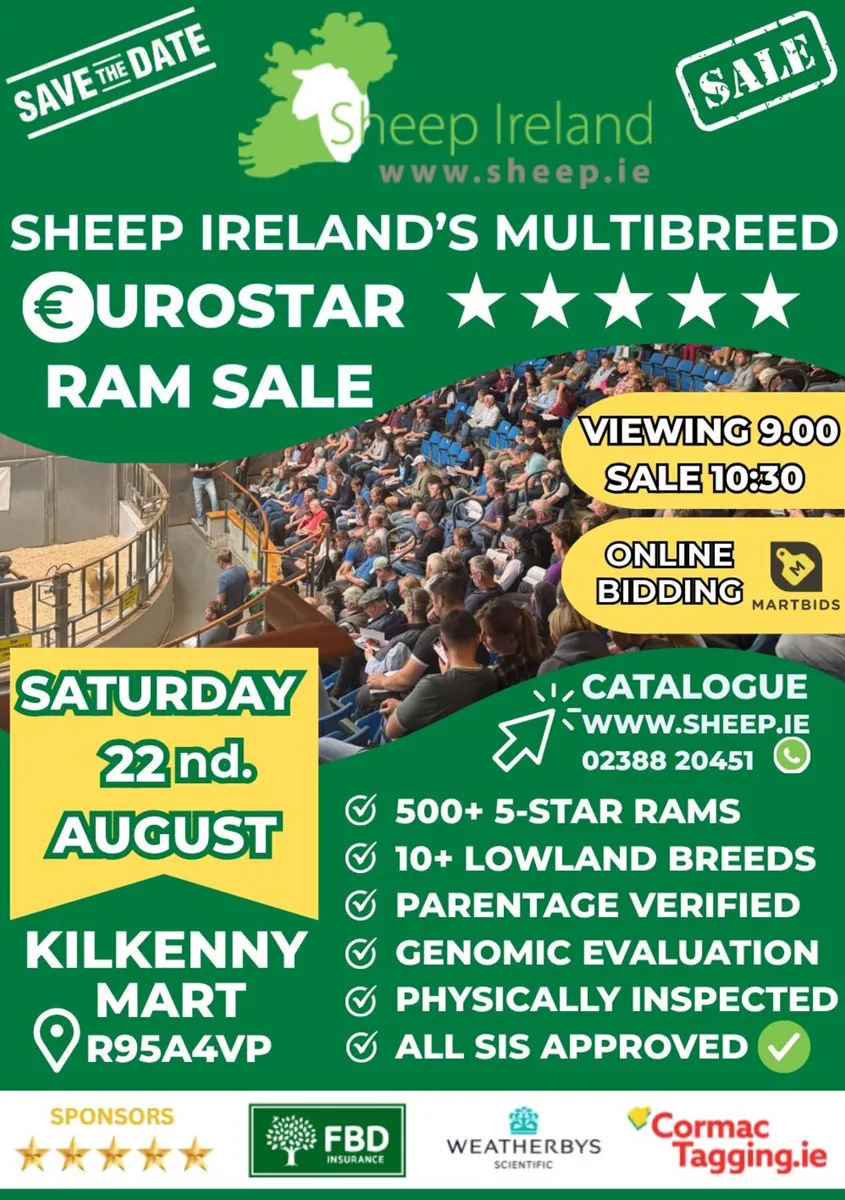 Sheep Ireland Elite EuroStar MultiBreed Ram Sale