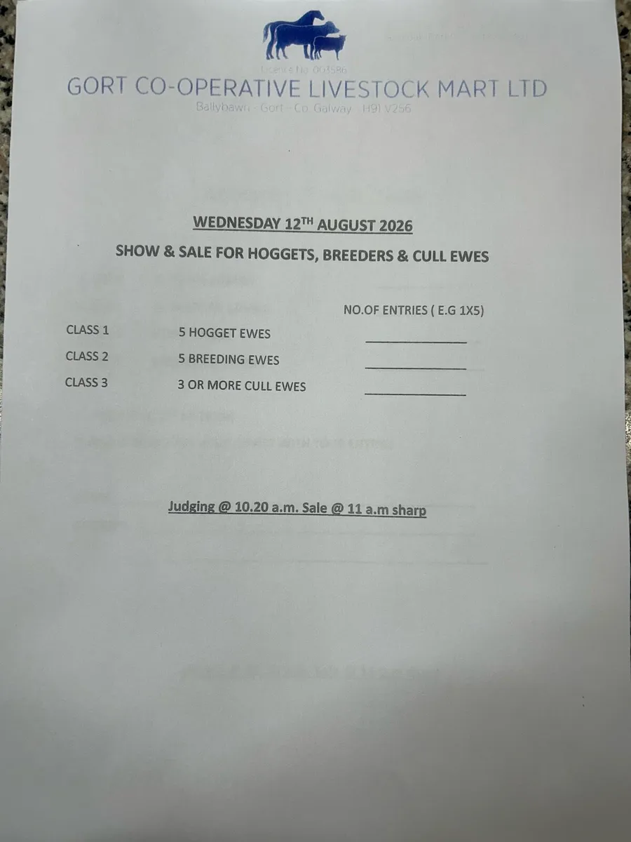 Gort Mart sheep sales & shows - Image 2