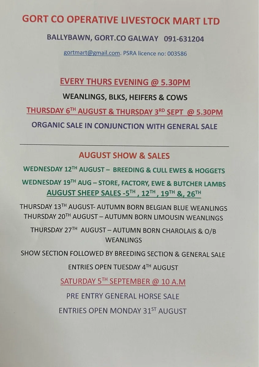 Gort Mart sheep sales & shows - Image 1