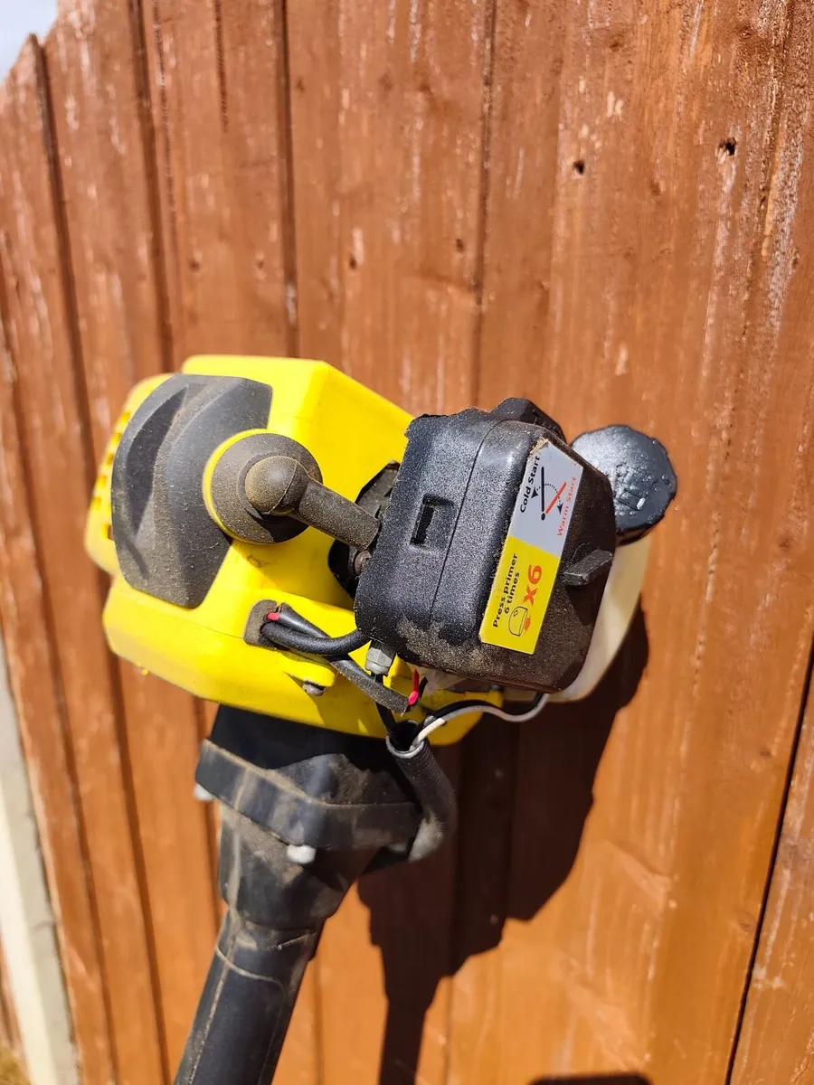 Petrol Strimmer - Image 1