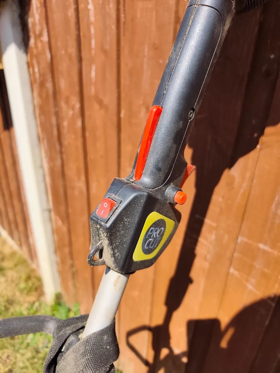 Petrol Strimmer - Image 3