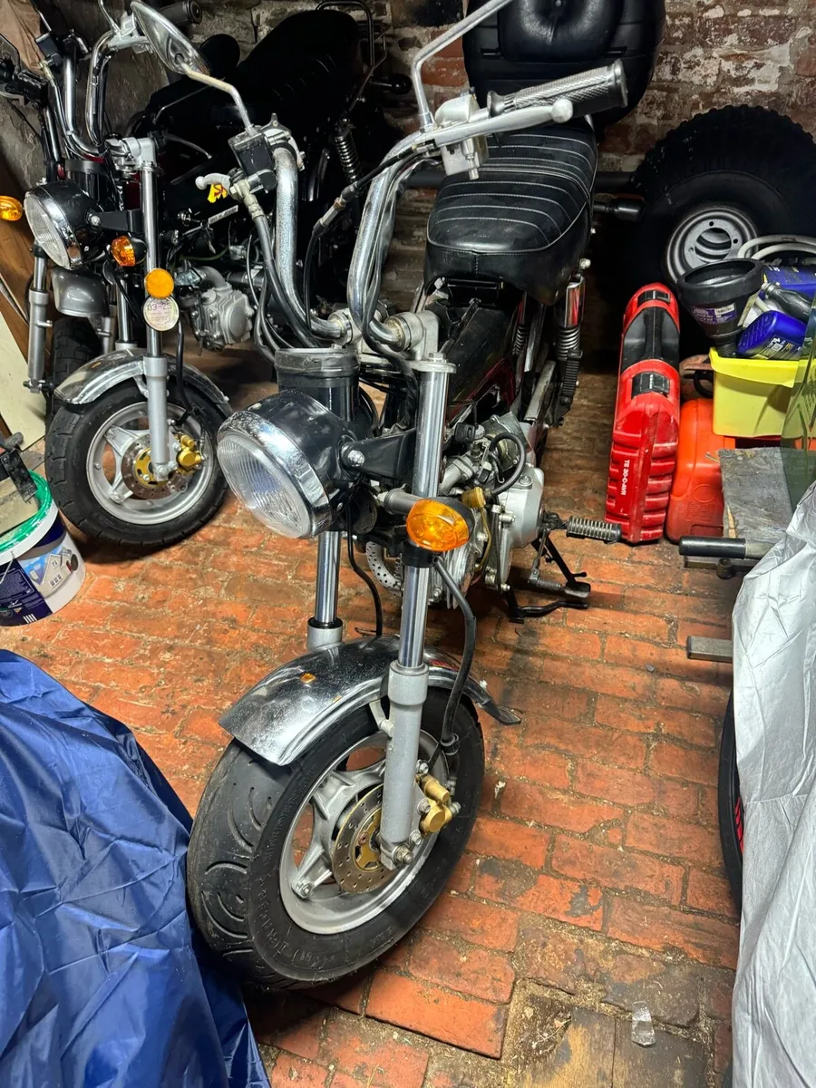 Monkey bike and pitbike - Image 4