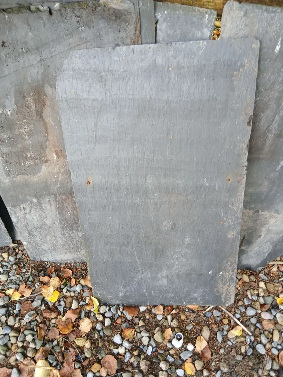 BANGER BLUE SLATES - Image 2