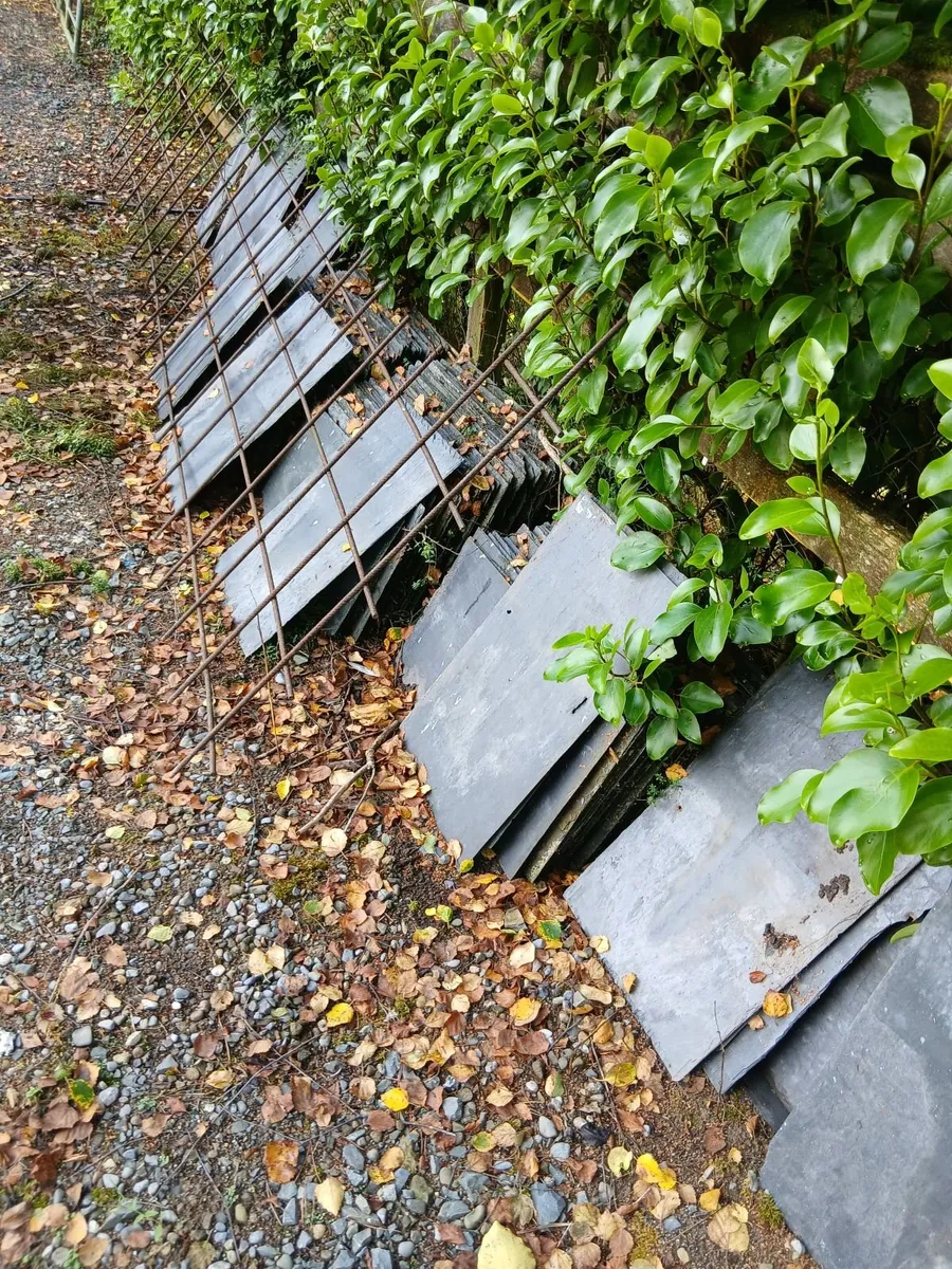 BANGER BLUE SLATES - Image 3