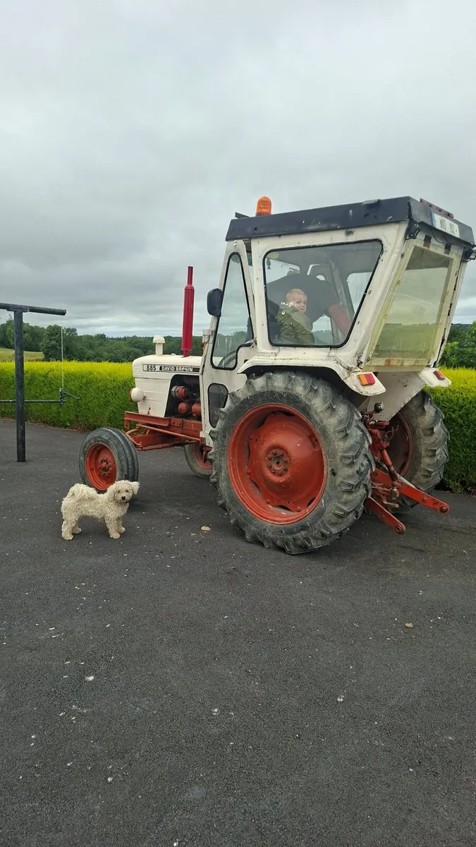 David brown tractor - Image 2