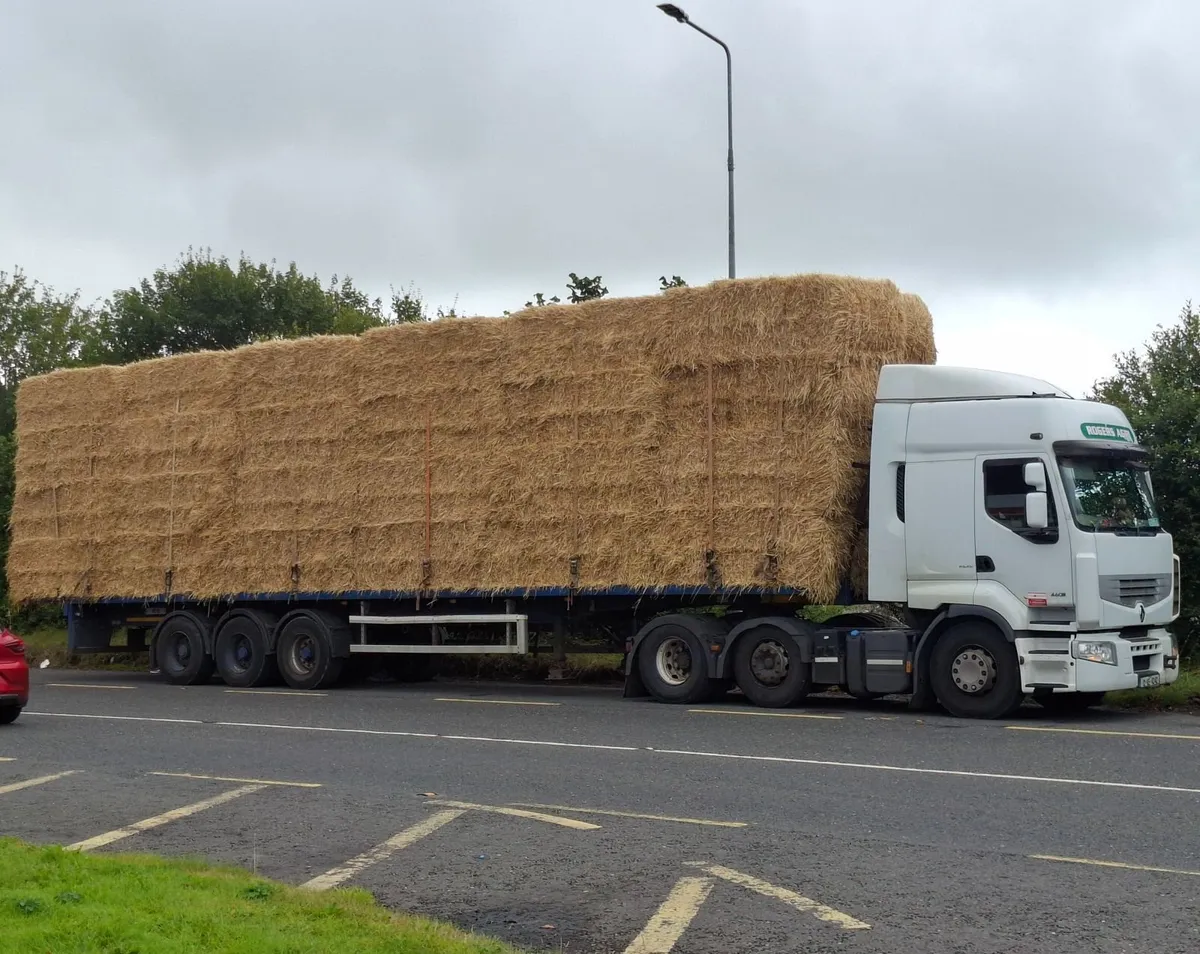 8x4x3s of spring/winter barley straw top quality