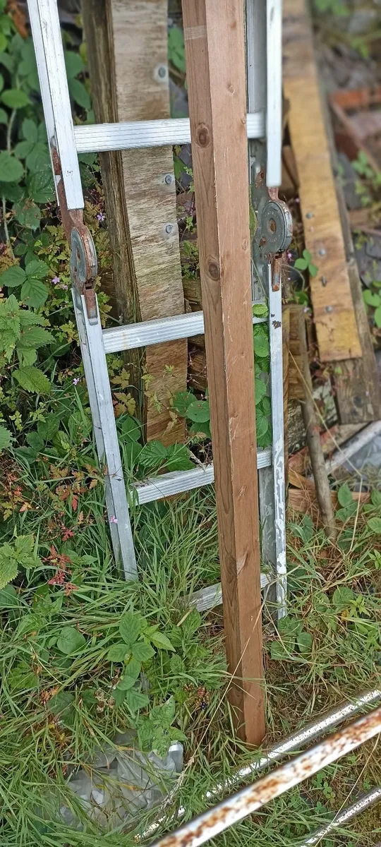 Garden Bird House - Image 3