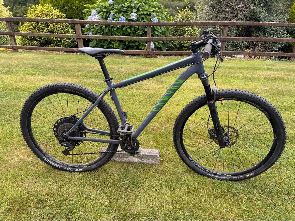 Mountain bike - Image 1