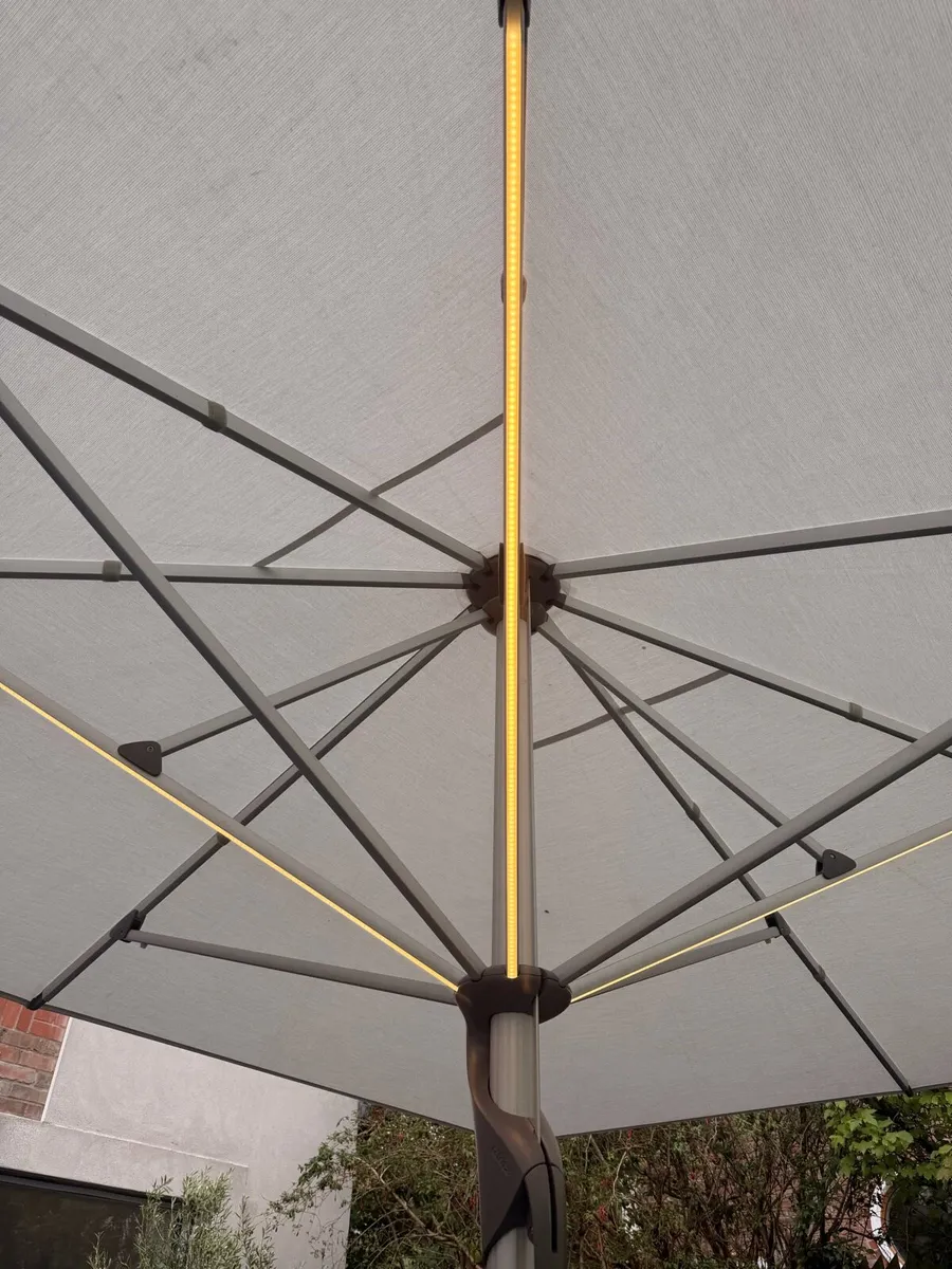 Parasol - Image 3