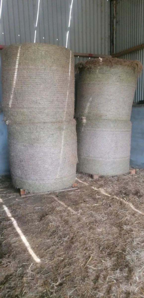 Hay for sale