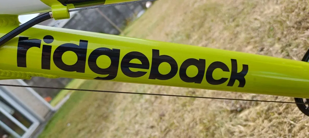Kids bike - Image 3