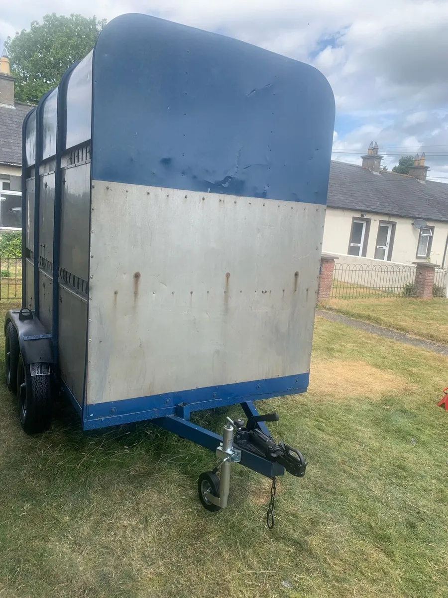 READ THE AD FIRST - Image 4