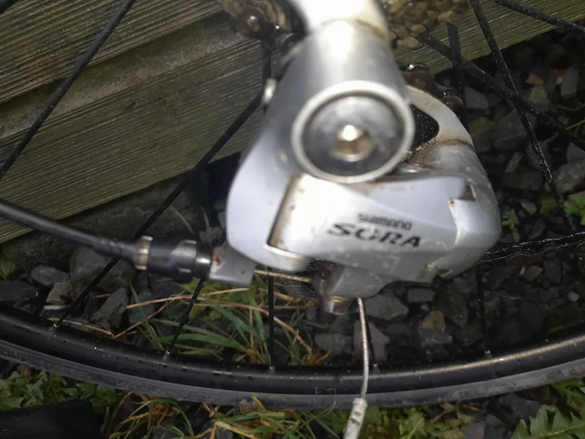 Adult Bicycle - Image 2