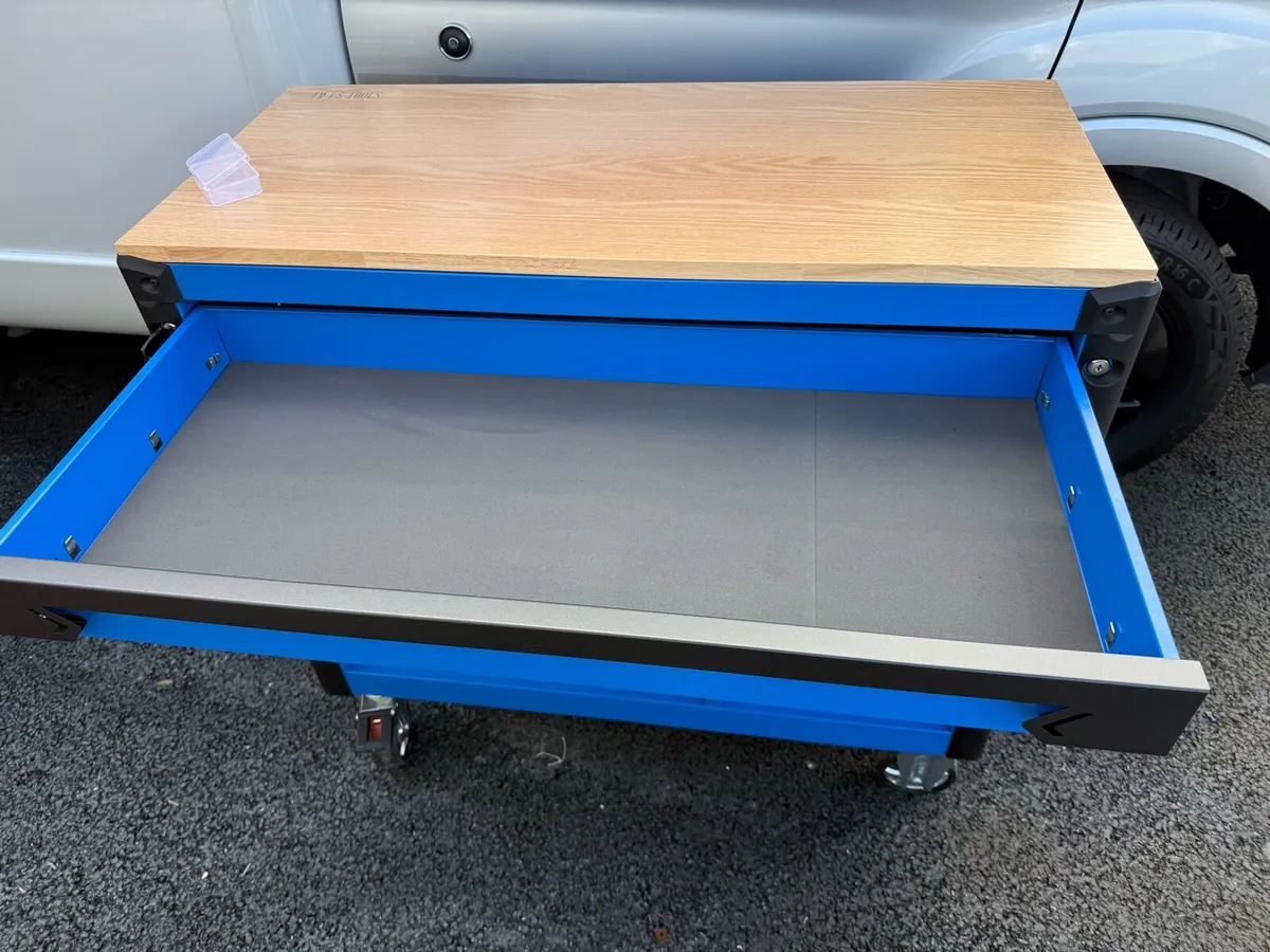 BRAND NEW 12 DRAWER TOOL CHEST FULL OF TOOLS - Image 2