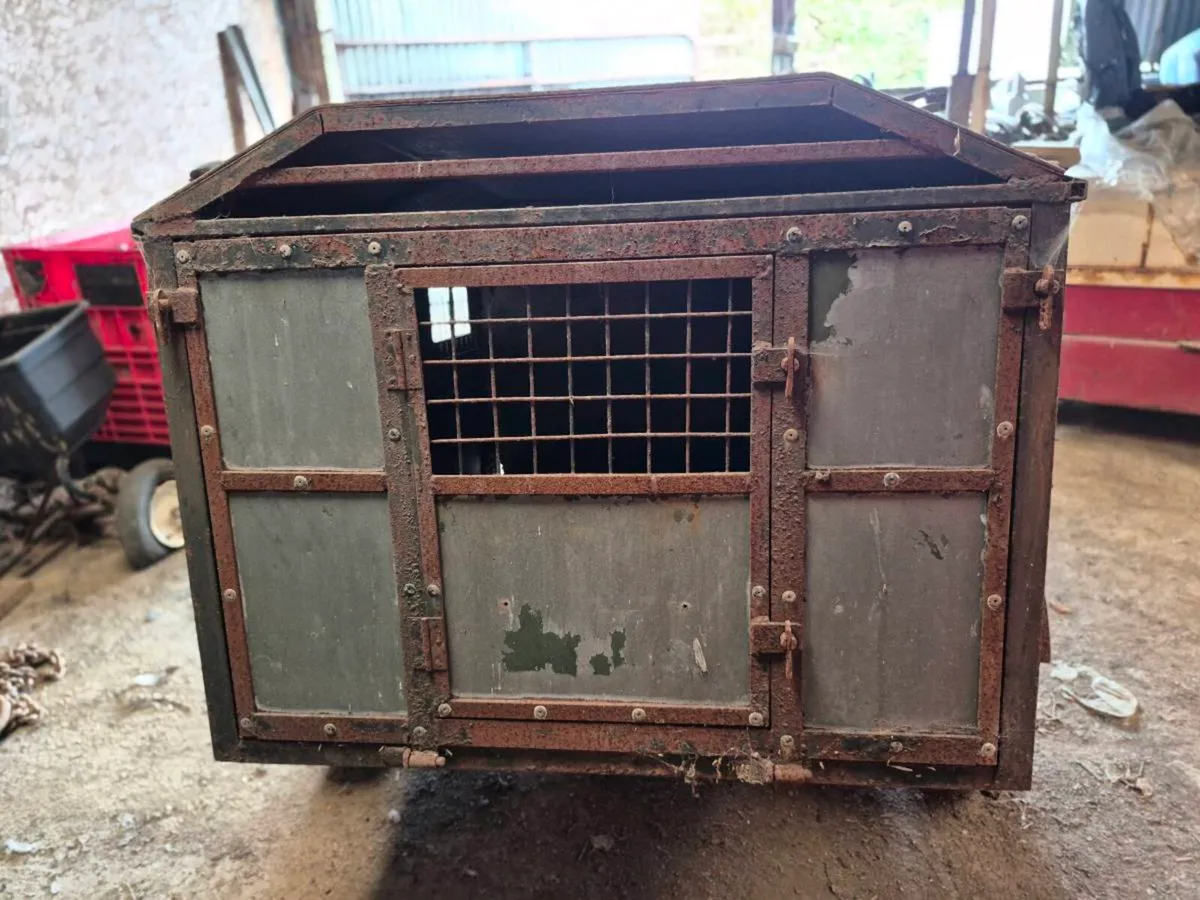 Dog Box Trailer - Image 3