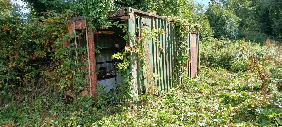 Container 20 ft - Image 2