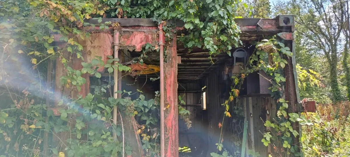 Container 20 ft - Image 3