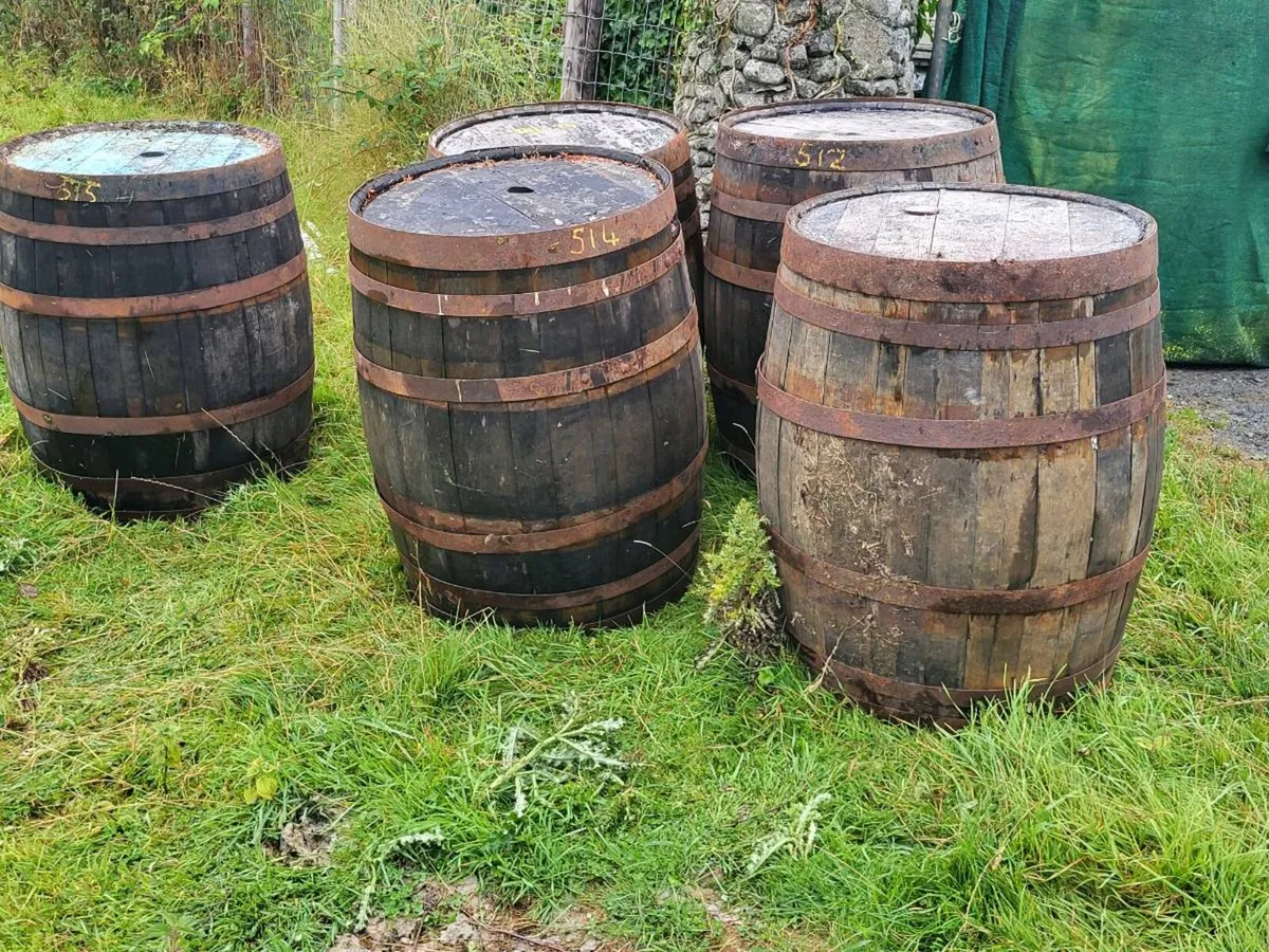Wiskey barrels - Image 1