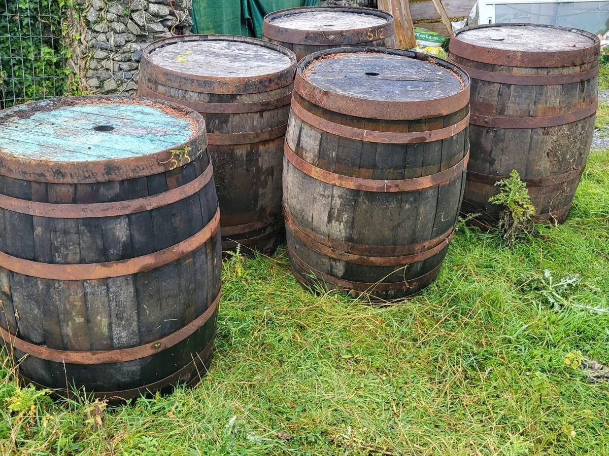 Wiskey barrels - Image 2