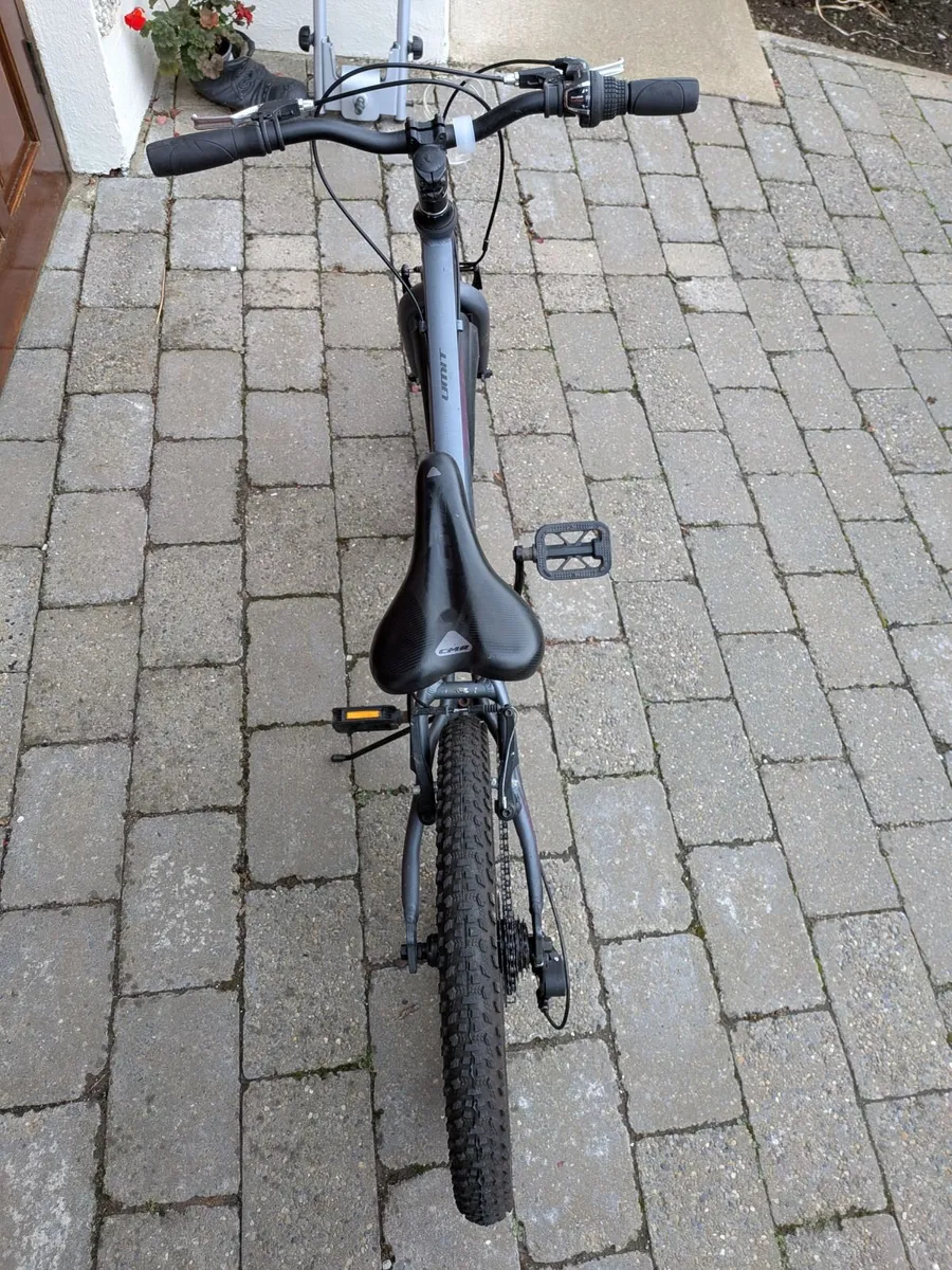 UMIT 'Lavida' Bicycle - Image 3