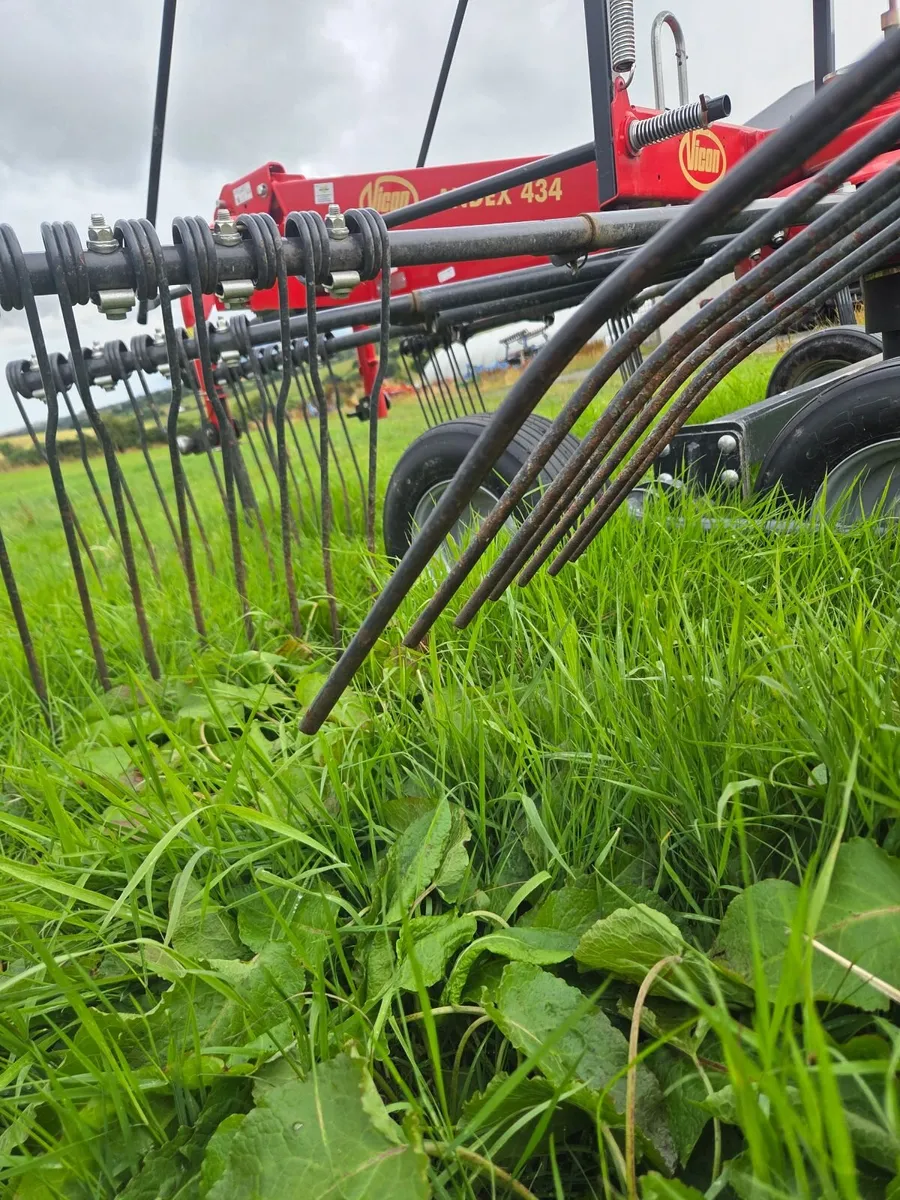 Grass rake - Image 2