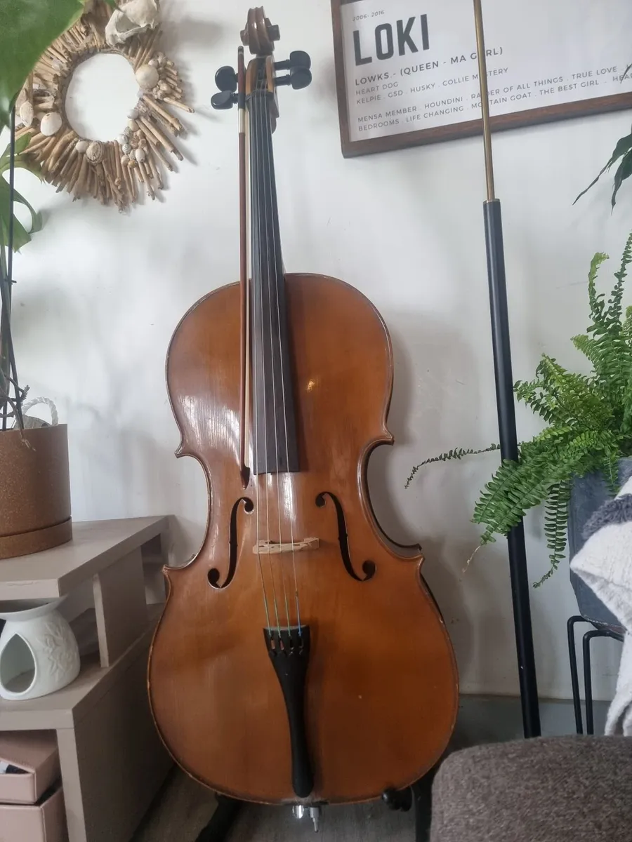 Cello full size