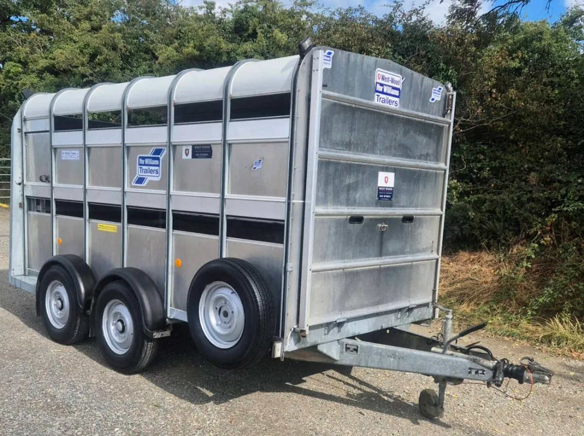 Ifor williams 12 x 6 cattle trailer as new - Image 1