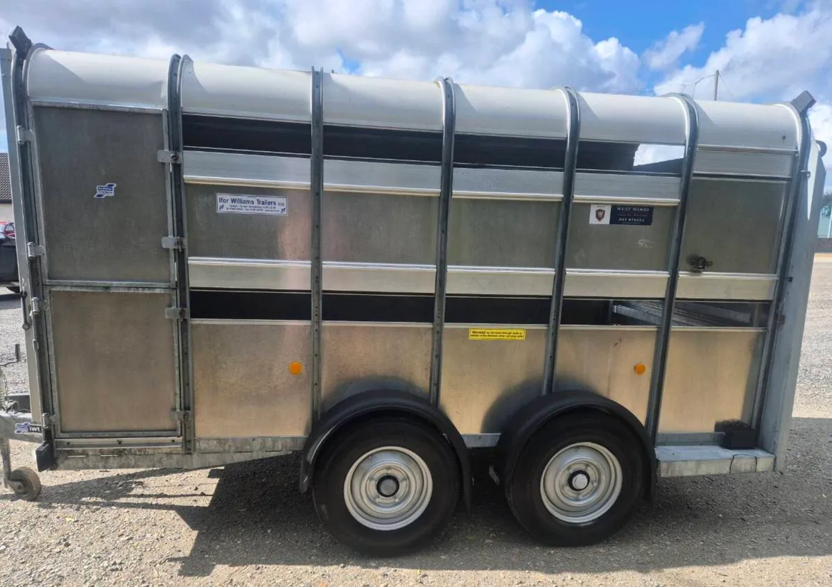 Ifor williams 12 x 6 cattle trailer as new - Image 4