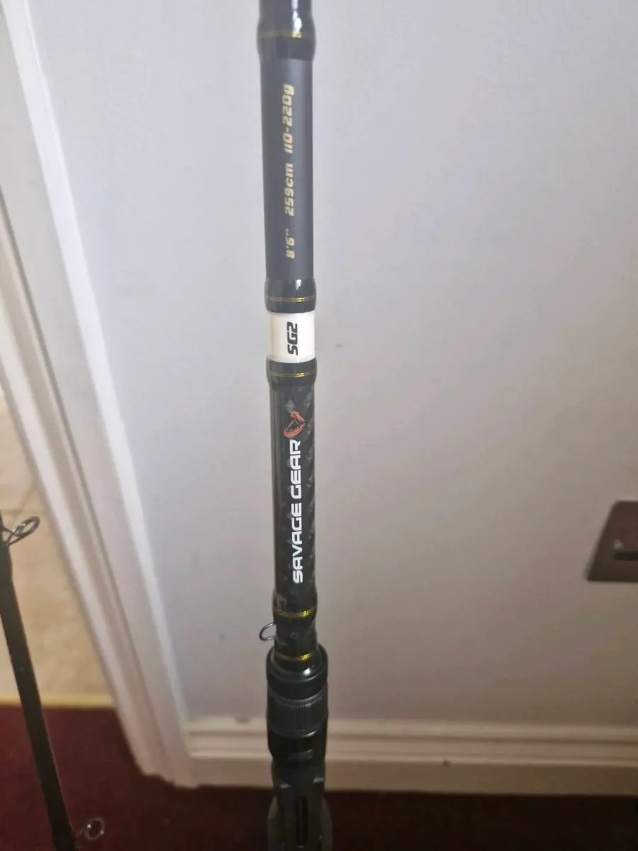 Fishing rod - Image 1