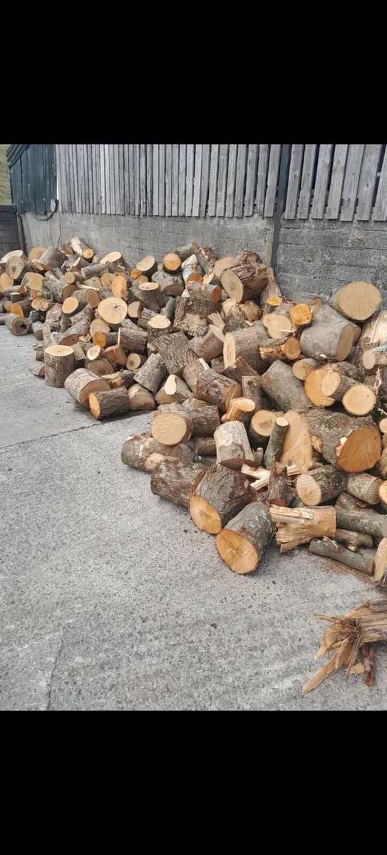 Firewood - Image 2