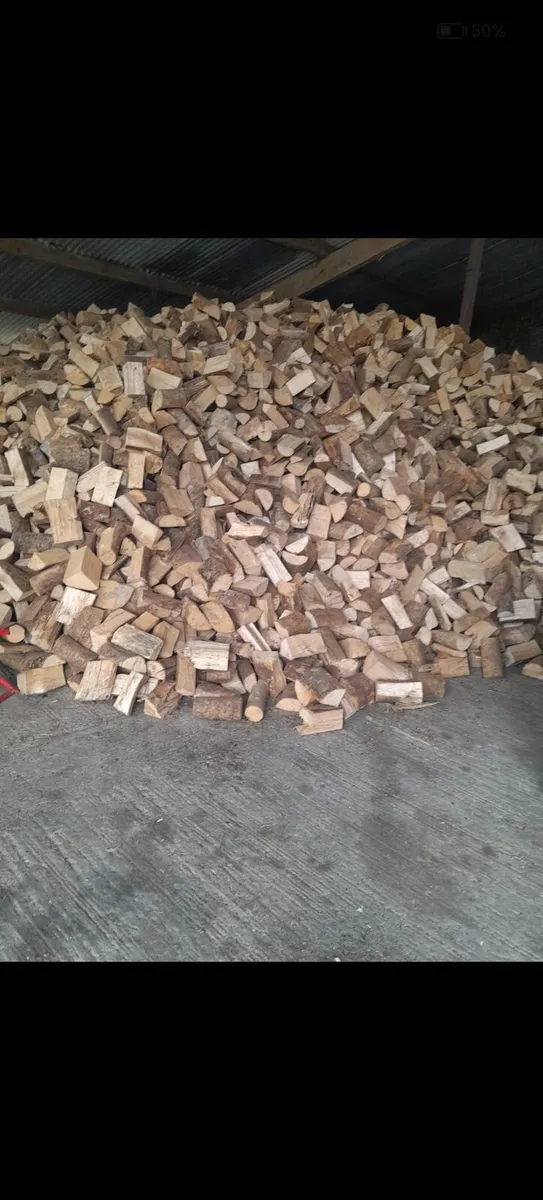 Firewood - Image 3