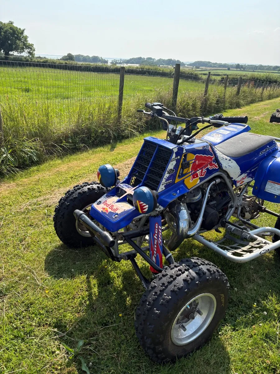 Yamaha Banshee 350 - Image 4