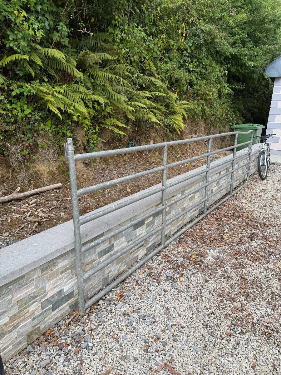 16ft Gate - Image 1