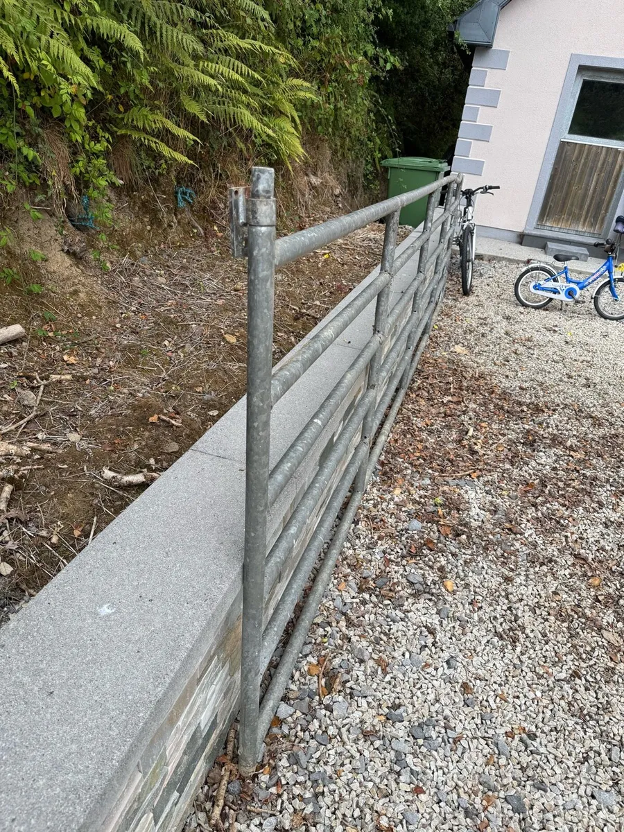 16ft Gate - Image 2