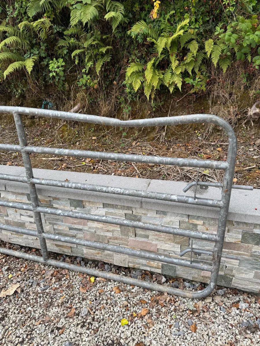 16ft Gate - Image 3