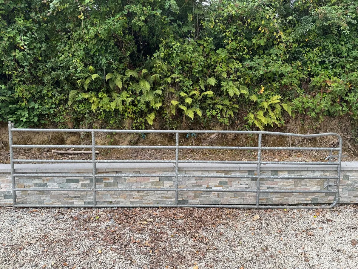 16ft Gate - Image 4