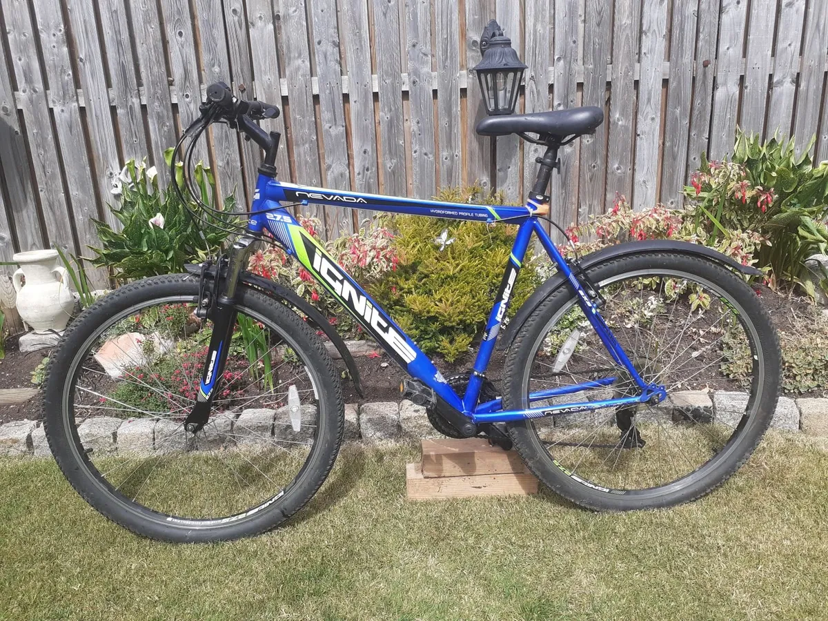Young adults Bicycle