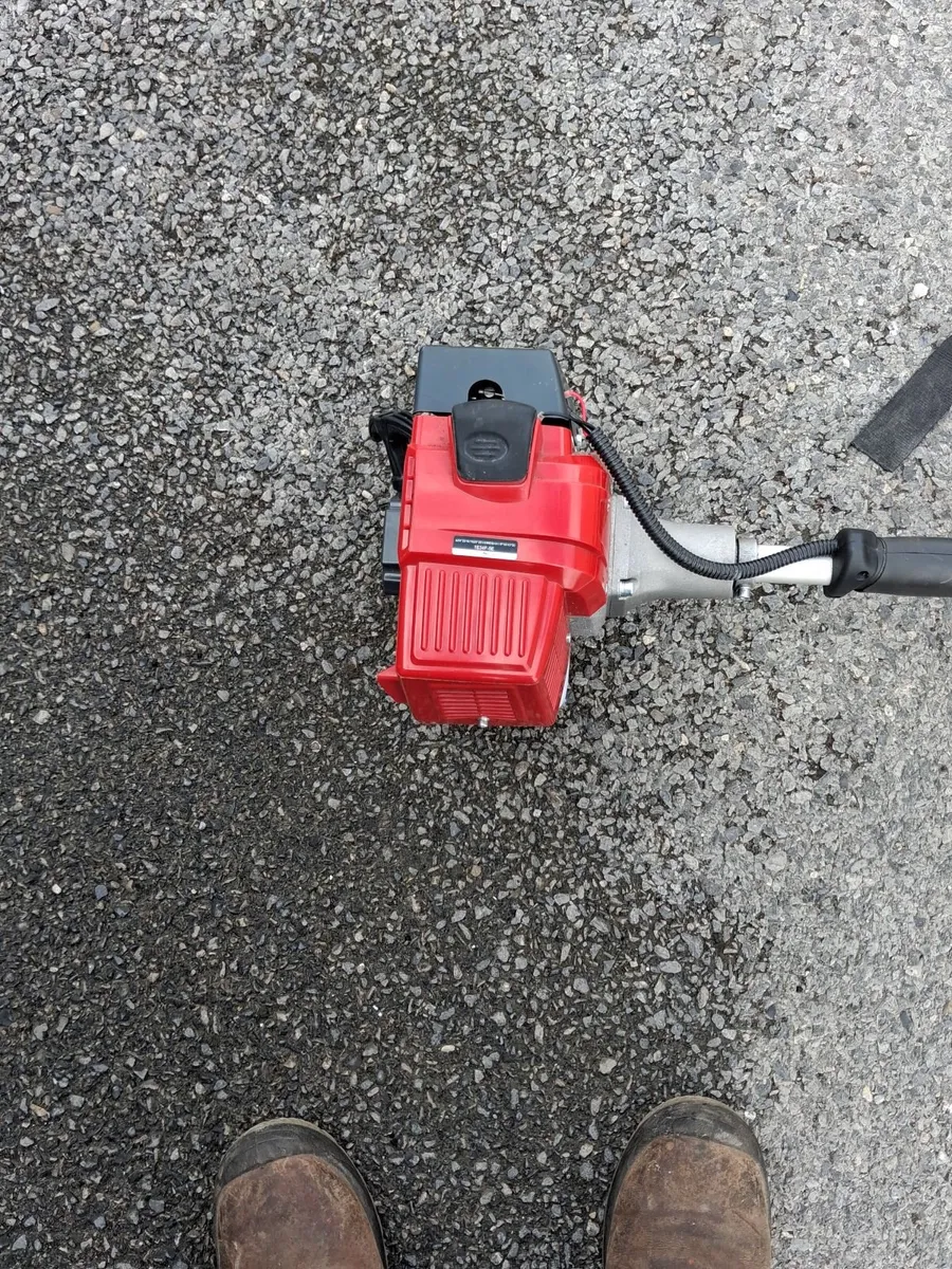 Grass strimmer - Image 4