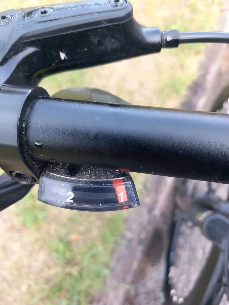 Men's Giant Roam Bike - Image 3