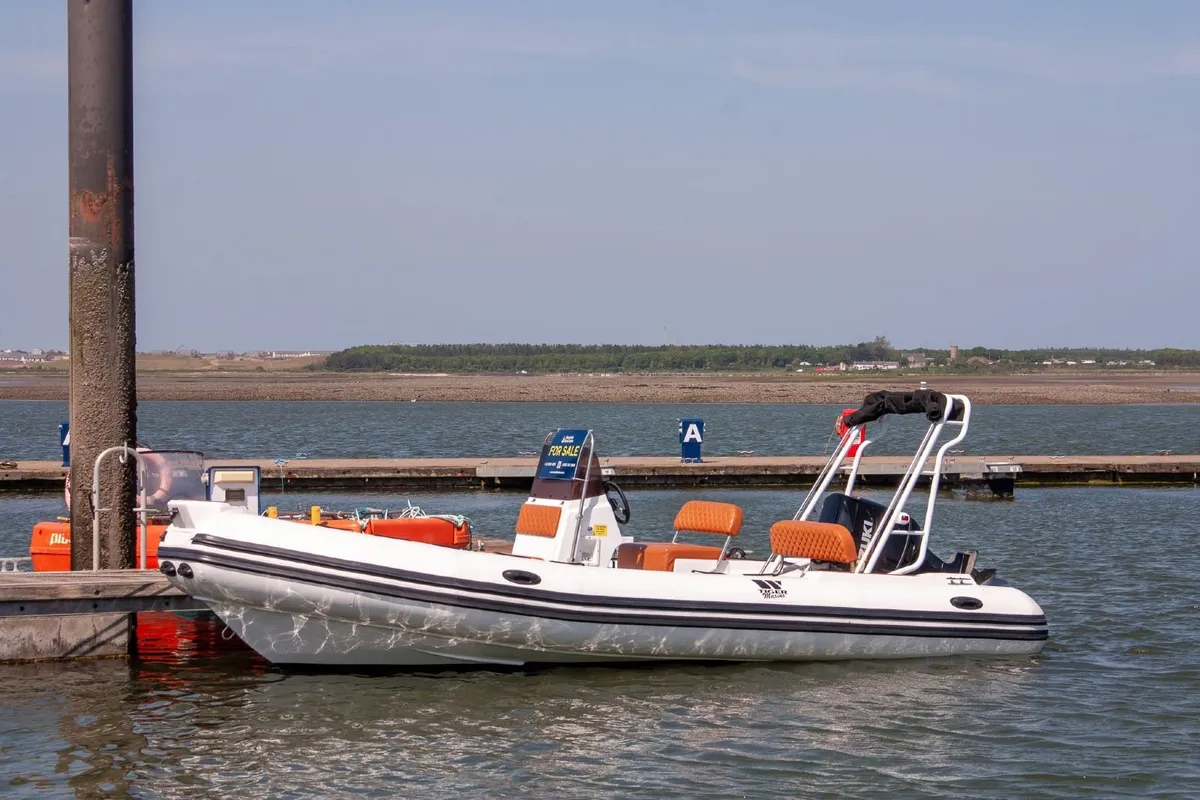 2024 Tiger Marine Open 600 Suzuki 115hp - Image 2