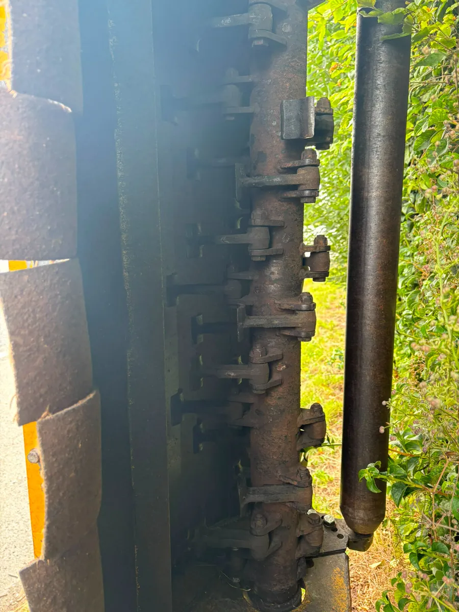 TWOSE 480 HEDGECUTTER - Image 2
