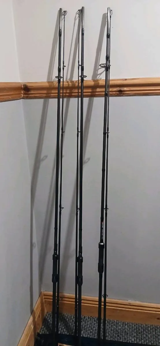 3 carp/pike rods - Image 1