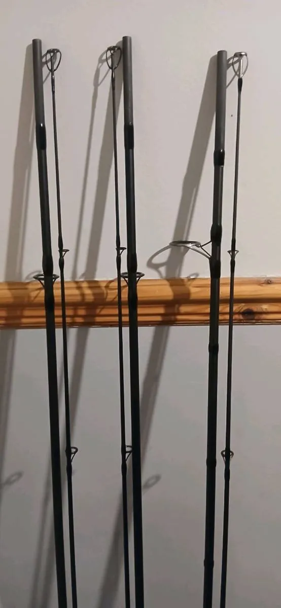 3 carp/pike rods - Image 2