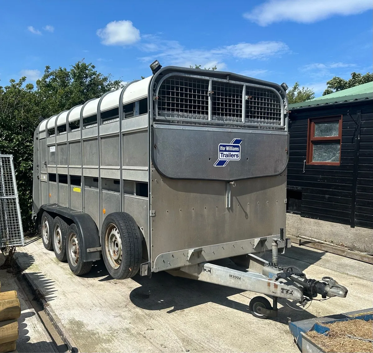 14ft ifor Williams cattle trailer