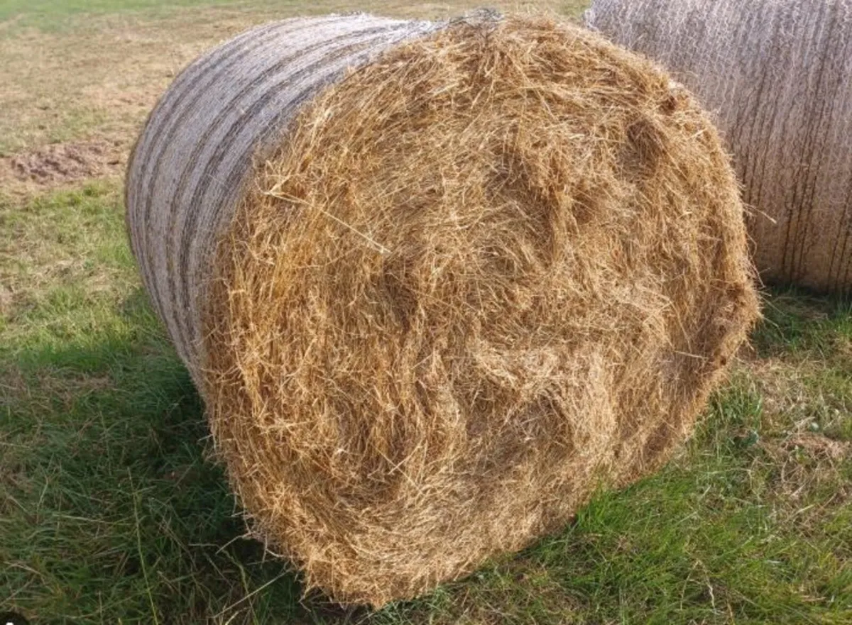 hay bales - Image 2