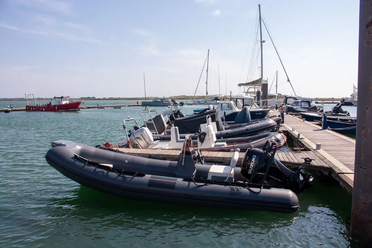 2024 Tiger Marine Dive Master 520 80HP - Image 1