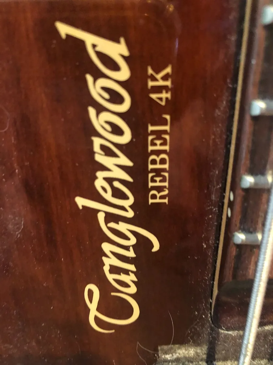 Tanglewood bass guitar Rebel 4K - never giged - Image 1